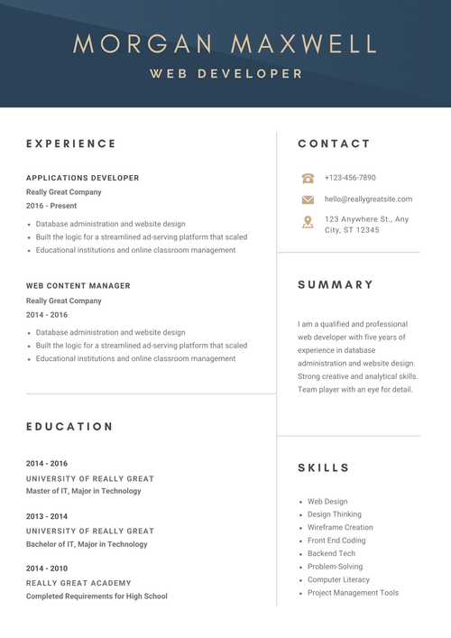 Modern IT Professional CV Template | Black & Blue Design